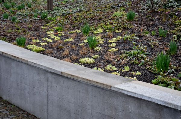 Concrete Wall Construction in Upper Marlboro